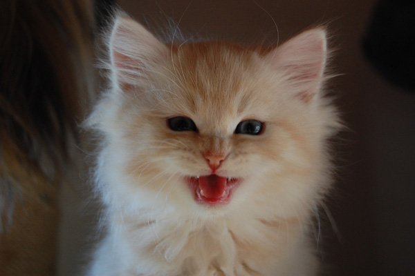 spiel jetzt mit mir.jpg